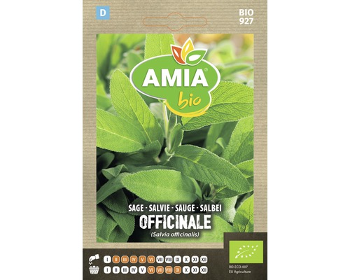 Bio Semințe de salvie Amia-0