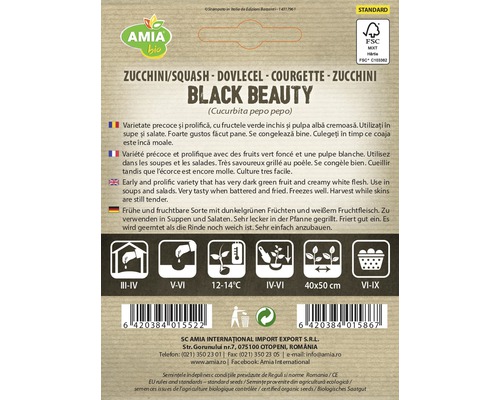 Pachet de semințe dovlecel Black Beauty
