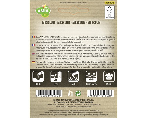 Pachet de semințe de salată mixtă Mesclun