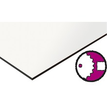 Placă HPL compactă 2440x1220x6 mm alb-thumb-0