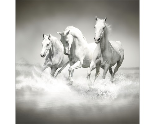 Tablou sticlă White Horses 20x20 cm
