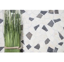 Ierburi decorative verzi în fața unui perete cu plăci de mozaic