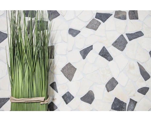 Ierburi decorative verzi în fața unui perete cu plăci de mozaic