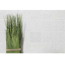 Ierburi verzi decorative cu plăci cu model deschis în fundal.