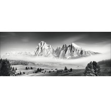 Fotografie alb-negru a unui peisaj montan cu copaci și cabane