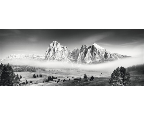 Fotografie alb-negru a unui peisaj montan cu copaci și cabane