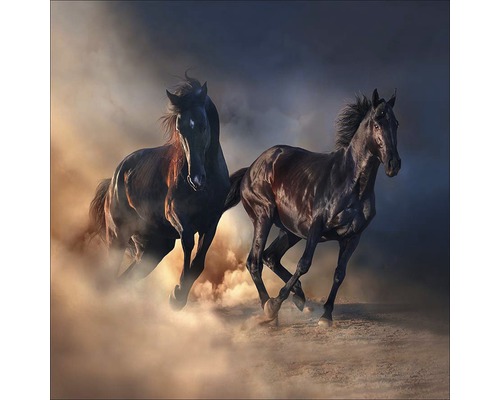 Tablou sticlă Two Running Horses 50x50 cm