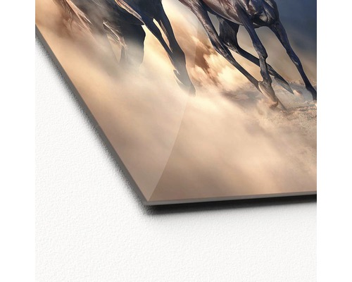 Prim-plan al unei imagini pe sticlă acrilică cu motivul cailor galopând