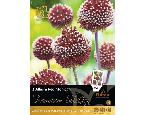 Bulbi de flori Premium Allium Mohican roşu 3 buc.