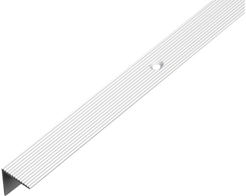 Protecție treaptă aluminiu Alberts 1000x21x21 mm, argintiu Profil margine treaptă din aluminiu cu orificiu pentru șurub