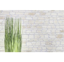 Placare perete din piatră naturală cu iarbă artificială