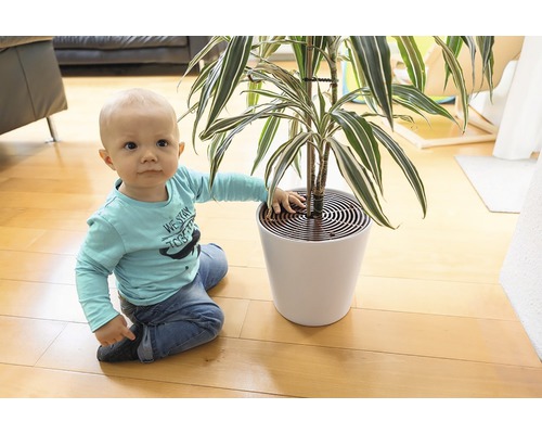 Copil stând lângă o plantă de interior în ghiveci