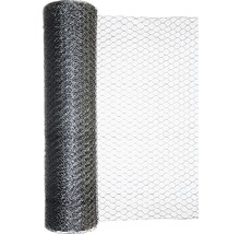 Plasă gard zincată hexagonală Kaiserthal 0,8 mm 1x25 m argintiu-thumb-0
