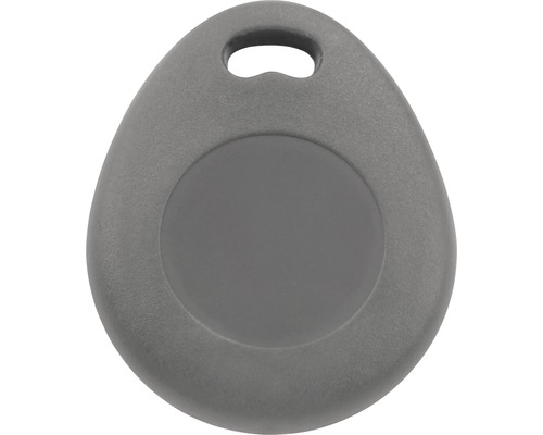 Chip-uri de acces pentru videointerfon Philips WelcomeEye, pachet 2 bucăți Breloc pentru sisteme de control al accesului