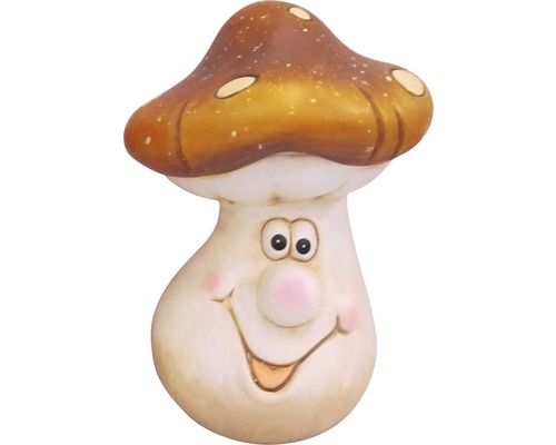 Ciupercă decorativă cu față pentru grădină