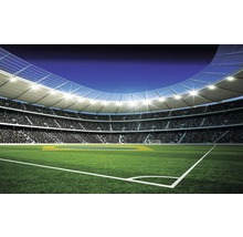 Stadion de fotbal cu gazon, tribune și reflectoare