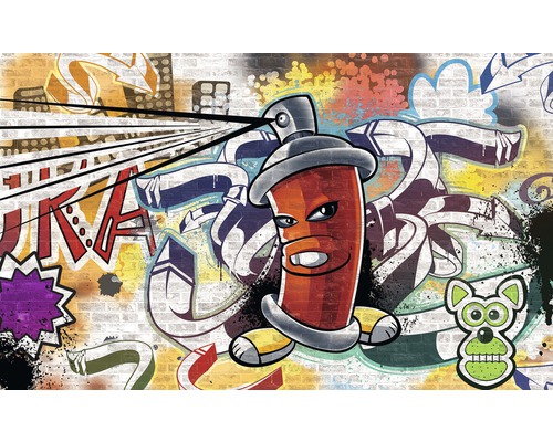 Imagine de perete cu motiv graffiti și spray