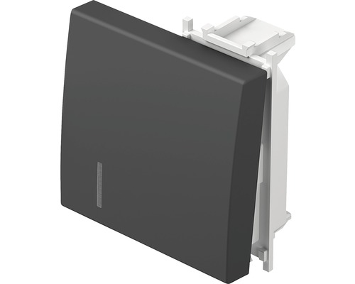 Clapetă TEM 2 module, cu locaș pentru LED, negru