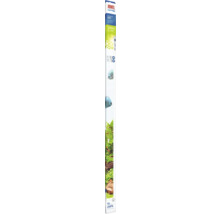 Tub fluorescent Juwel Aquarium HiLite T5 Day