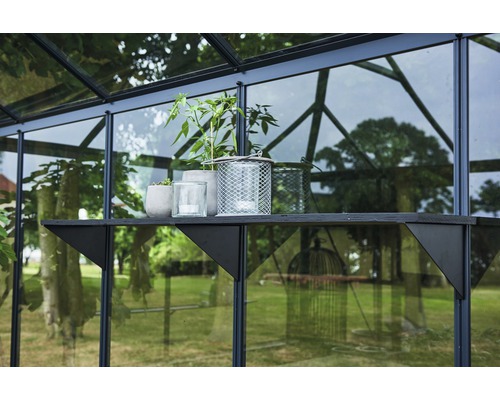 Prim-plan al unei sere cu plante pe un raft