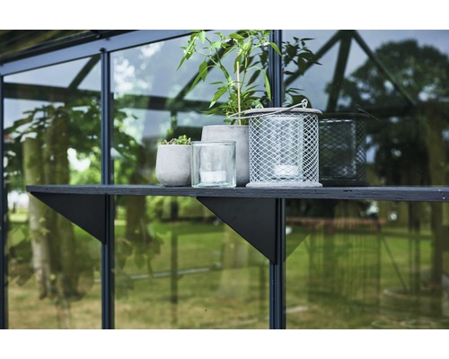 Raft cu plante și felinare în seră