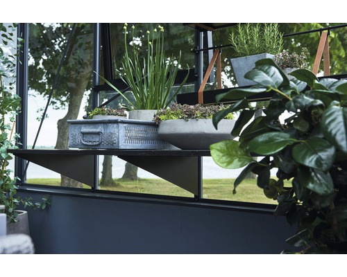 Imagine detaliată cu o seră cu rafturi pe care se află plante în ghivece și un coș metalic.