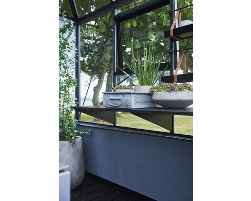 Interiorul unei sere cu rafturi, jardiniere și plante