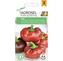 Semințe legume Agrosel gogoșar Vlad PG2