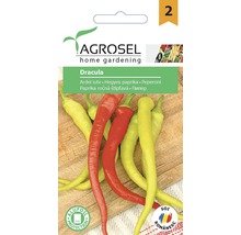 Semințe legume Agrosel ardei iute Dracula PG2-thumb-0