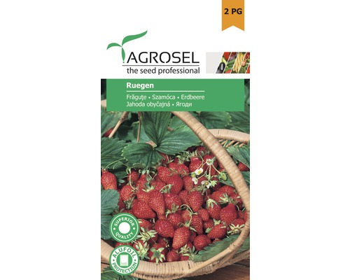 Semințe de frăguțe Ruegen PG2 Agrosel