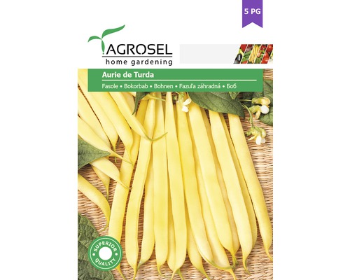 Semințe legume Agrosel fasole aurie de Turda PG5