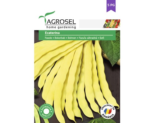 Semințe legume Agrosel fasole Ecaterina PG5