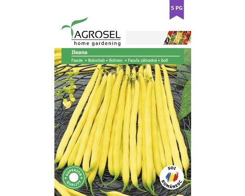 Semințe legume Agrosel fasole Ileana PG5