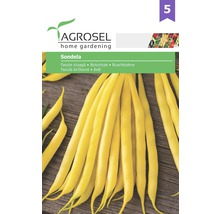 Semințe legume Agrosel fasole tip fideluță Sondela PG5-thumb-0
