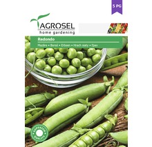 Semințe legume Agrosel mazăre Redondo PG5