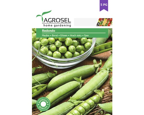 Semințe legume Agrosel mazăre Redondo PG5