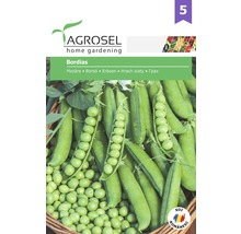 Semințe legume Agrosel mazăre Bordias PG5-thumb-0