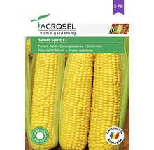 Semințe legume Agrosel porumb zaharat PG5-thumb-0