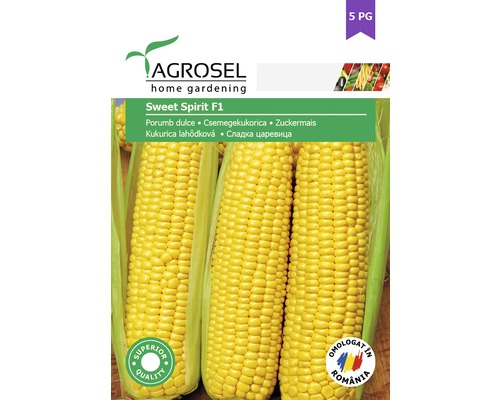Semințe legume Agrosel porumb zaharat PG5-0