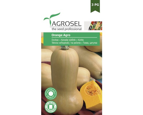 Semințe legume Agrosel dovleac plăcintar PG3