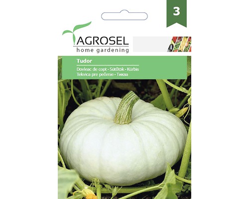 Semințe legume Agrosel dovleac Tudor PG3