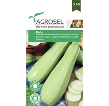 Semințe legume Agrosel dovlecel Radu PG3-thumb-0