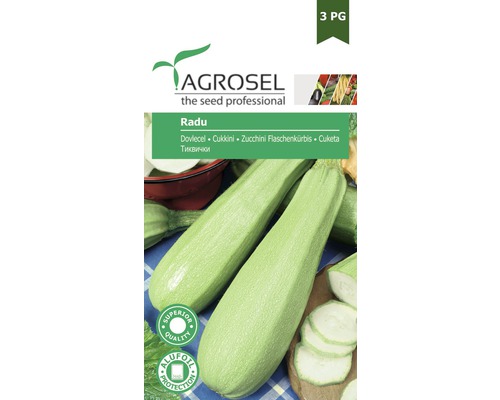 Semințe legume Agrosel dovlecel Radu PG3