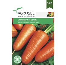 Semințe legume Agrosel morcovi Chatenay roșii PG3-thumb-0