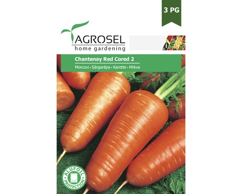 Semințe legume Agrosel morcovi Chatenay roșii PG3-0
