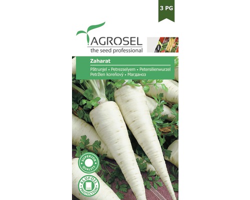 Semințe de pătrunjel zaharat PG3 Agrosel