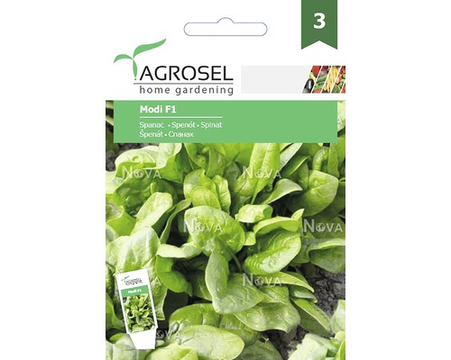 Semințe legume Agrosel spanac Modi PG3