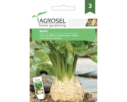 Semințe legume Agrosel țelină Apollo PG3