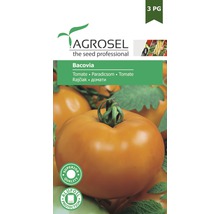 Semințe legume Agrosel tomate Bacovia PG3-thumb-0