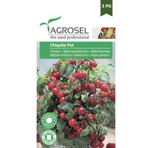 Semințe de tomate Agrosel Chiquita Pot pentru cultivarea tomatelor de balcon
